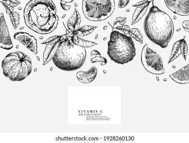 Citrus fruit set. Hand drawn orange, lemon, grapefruit, mandarin, lime, bergamot, leaves with bloosm and branches. Vector engraved composition Restaurant branding, cosmetic package design, menu