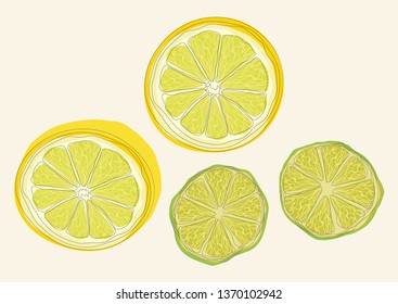 Citrus fruit set. Lemon and lime, isolated vector illustration.