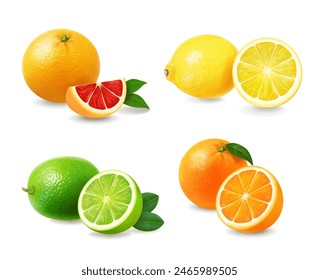 Citrus fruit set realistic. lemon, lime, orange, grapefruit. Halves. quarter and slices. 3d vector illustration isolated on white