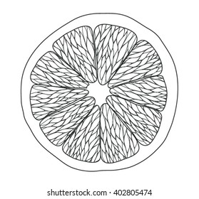 citrus fruit slice