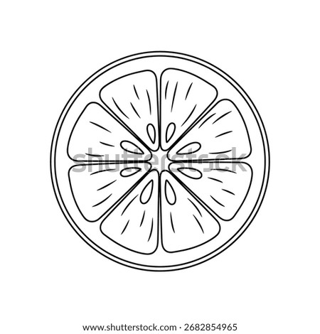 Citrus Fruit Slice Line Art Vector Illustration - Orange or Lemon Outline