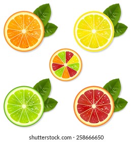 citrus fruit slice set of orange, lemon, lime, grapefruit