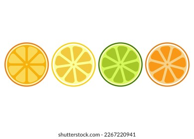 Citrus fruit slice vector cartoon set of lemon, lime, orange and tangerine isolated on a white background.