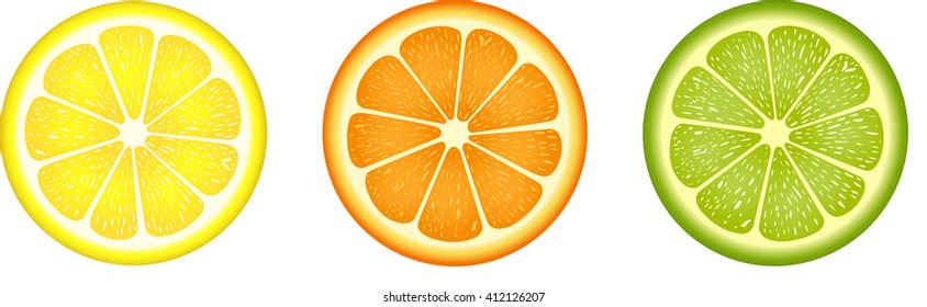 Citrus fruit slices
