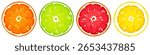 Citrus fruit slices isolated on a white background. Grapefruit, orange, lemon, and lime slices. Set of vector illustrations. Hand-drawn illustration, not AI