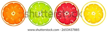 Citrus fruit slices isolated on a white background. Grapefruit, orange, lemon, and lime slices. Set of vector illustrations. Hand-drawn illustration, not AI