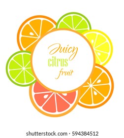 Citrus fruit slices label. Vector illustration