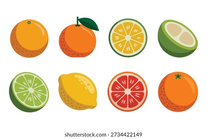 Citrus fruit slices, lemon lime orange grapefruit, summer farmers market, juice festival labels, tropical food icons, bright vector illustration