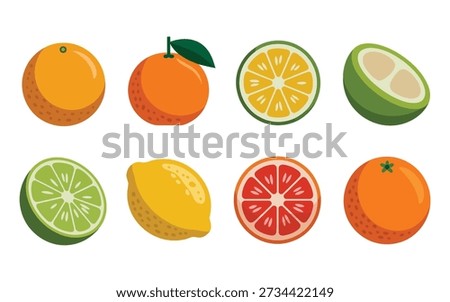 Citrus fruit slices, lemon lime orange grapefruit, summer farmers market, juice festival labels, tropical food icons, bright vector illustration
