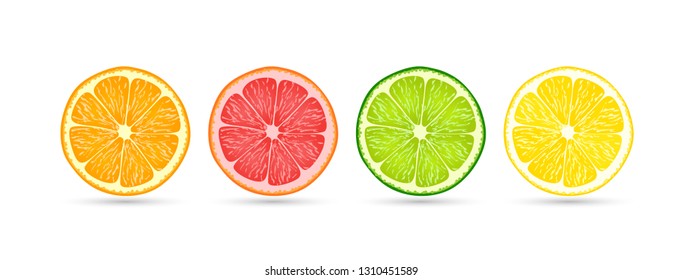 Citrus fruit slices of orange, grapefruit, lime and lemon isolated on a flat white background with shadows underneath, vector illustration