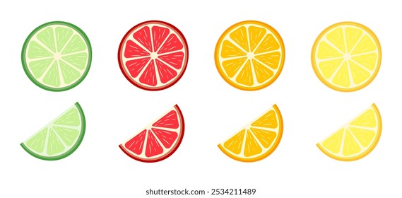 Zitrusfruchtscheiben. Runde Scheiben von Orange, Zitrone, Limette, Grapefruit und Hälften. Vektorgrafik
