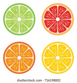 Citrus Fruit Slices Showing A Lime, Grapefruit, Orange, And Lemon Slice