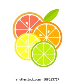 Citrus fruit slices. Vector illustration