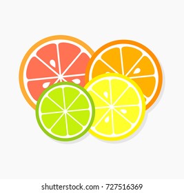Citrus fruit slices. Vector illustration