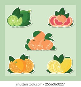 Citrus Fruit Sticker Set on a light green background