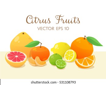 Citrus fruit still life. Different types of citrus fruits background design. Editable vector illustration: create your own citrus background, moving and reordening the fruits.