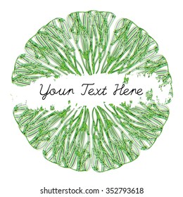 Citrus Fruit Texture. Sketch Frame. Ink Pen. Lime Slice. Vector Illustration. Design Element. 