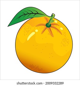 citrus fruit vector with green leaves, fresh yellow orange 