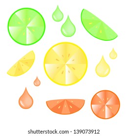 Citrus Fruit Vector Illustration