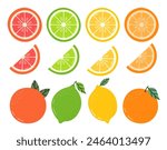 Citrus Fruit Vector Illustration Isolated on White Background. Cute Lemons, Limes, Oranges, Grapefruits Set. Whole Summer Fruits and Slices.
