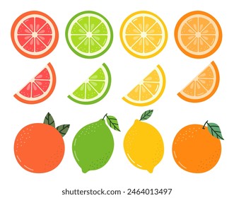 Zitrusfrüchte Vektorillustration isoliert auf weißem Hintergrund. Nette Zitronen, Limetten, Orangen, Grapefruits Set. Ganze Sommerfrüchte und Scheiben.