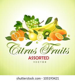 Citrus Fruits. Assorted