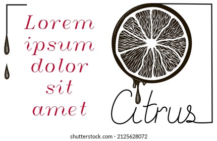 Citrus fruits in black and white, banner design template. Drawn inscription - citrus. Vector hand drawn citrus. Doodle style banner. There is a place for your text. Stock vector illustration.