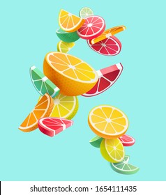 Citrus fruits composition. Vector styling.