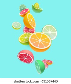 Citrus fruits composition. Vector styling.