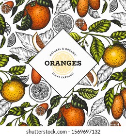 Citrus fruits design template. Hand drawn vector color fruit illustration. Engraved style frame. Vintage citrus banner.