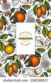 Citrus fruits design template. Hand drawn vector color fruit illustration. Engraved style frame. Vintage citrus banner.
