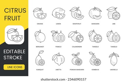 Citrus fruits food allergens, line icons set in vector, lemon and orange, grapefruit and mandarin, lime and bergamot, pomelo and calamondin, tangelo and kumquat, ponkan and limetta, editable stroke.