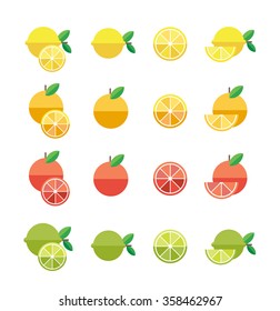 Citrus fruits. Fruit flat icons. Vector set.