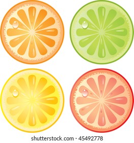 Citrus fruits icon set. Isolated in a white background. Without transparency