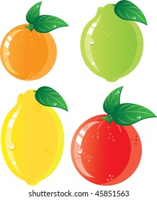 Citrus fruits icon set. Isolated in a white background. Without transparency. Vector illustration (EPS8). All parts (object) closed, possibility to edit.