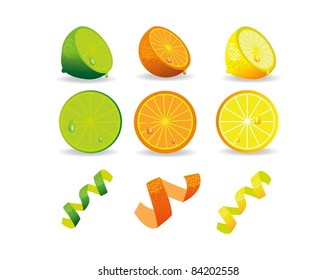 Citrus Fruits Icons Lemon, Lime And Orange Halves, Slices And Zest.