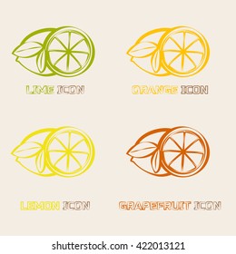 Citrus fruits Icons. Orange, lemon, grapefruit and lime