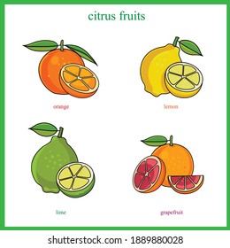 Los cítricos incluyen naranjas, limones, limas y pomelos