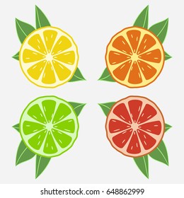 Citrus fruits with leaf. Orange, lime, lemon, grapefruit. Vector illustration.