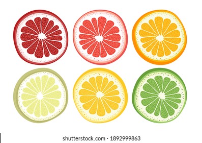 Citrus fruits on white background. Lemon, lime, pomelo, orange, grapefruit isolated.