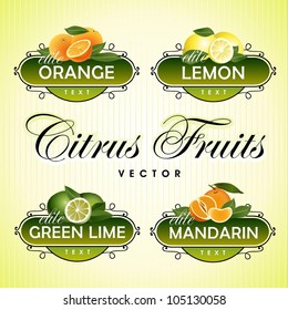 Citrus Fruits. Orange, lemon, green lime, mandarin