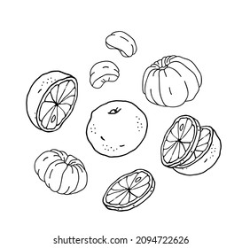 Citrus fruits. Oranges, tangerines, grapefruits. Logo in black ink. Isolated vector set element.