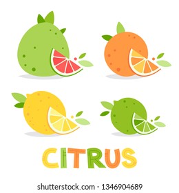 Citrus fruits. Pomelo, orange, lime and lemon. Summer fruits for healthy lifestyle. Colorful illustration with hand drawn lettering. Vector flat cartoon illustration isolated on white.