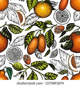 Citrus fruits seamless pattern. Hand drawn vector color fruit illustration. Engraved style background. Retro citrus banner.