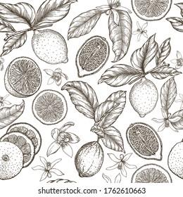 Citrus fruits seamless pattern. Ink hand drawn lemons, limes, flowers, leaves, branches. Vector black outlines on white background. Healthy food backdrop.