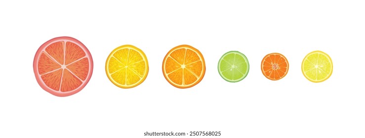 Citrus fruits set. Lemon, lime, citron, orange, mandarin and grapefruit slice pieces isolated over white background.  Vector colorful illustration in realistic style