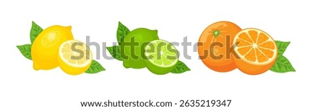 Citrus fruits set. Lemon, lime and orange whole and half with green leaves. Vector cartoon illustration.
