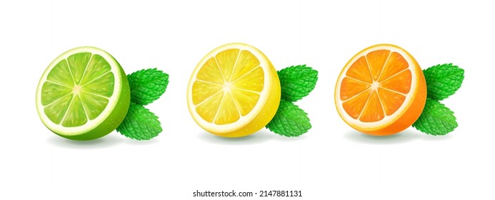 Citrus fruits set. Yellow lemon, green lime and orange orange with mint leaves. Fresh fruit icons. Vector realistic illustration