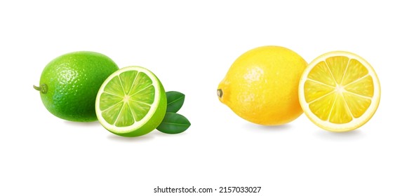 Citrus fruits set. Yellow lemon, green lime and orange orange with mint leaves. Fresh fruit icons. Vector realistic illustration