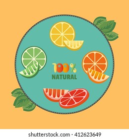 Citrus Fruits. Sliced lemon, lime, orange, grapefruit, leaves. Fresh lemon wedges Concept. Organic fruits natural. Tropical citrus. Natural fruit with vitamin for juice, dessert. Vector Illustration